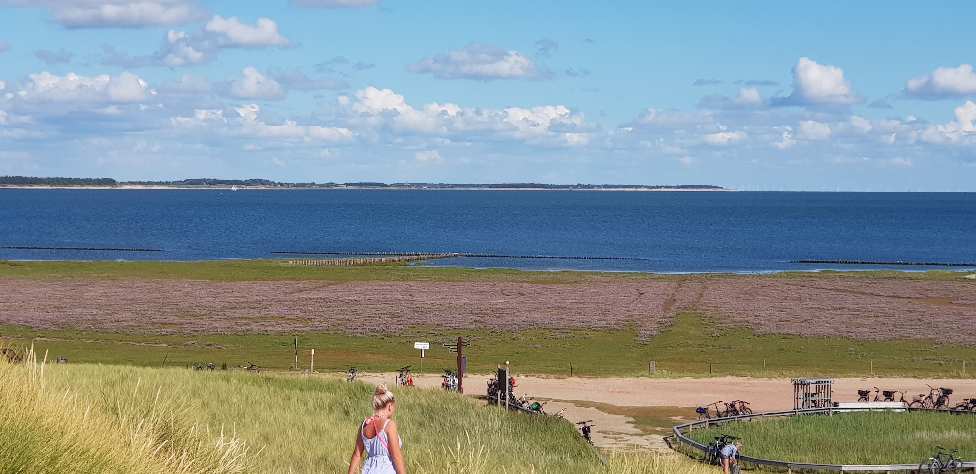 Blick nach Föhr